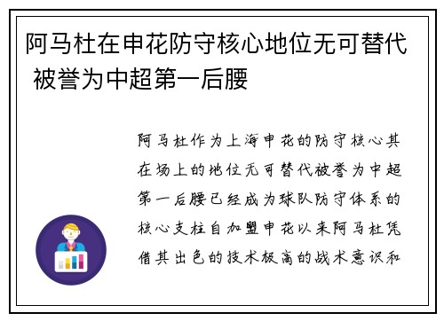 阿马杜在申花防守核心地位无可替代 被誉为中超第一后腰